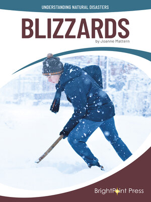 cover image of Blizzards